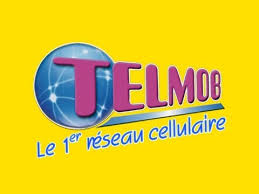 Groupe Logiciels et Services - partenaire Telmob