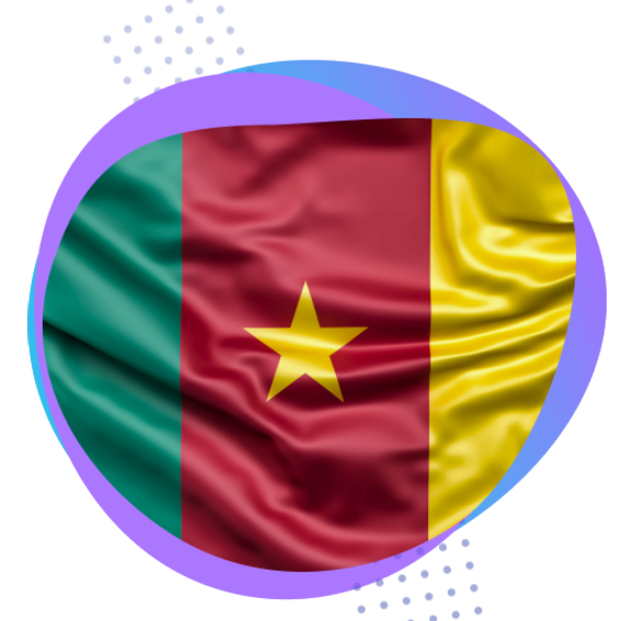 Groupe Logiciels et Services - drapeau Cameroun
