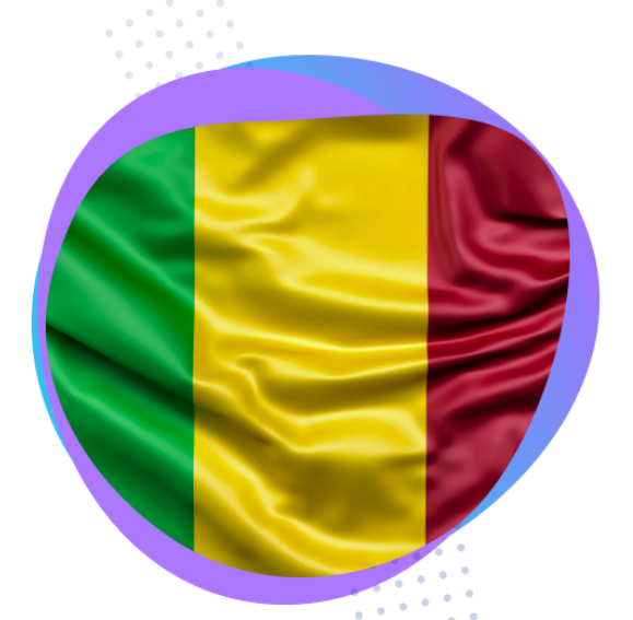 Groupe Logiciels et Services - drapeau Mali