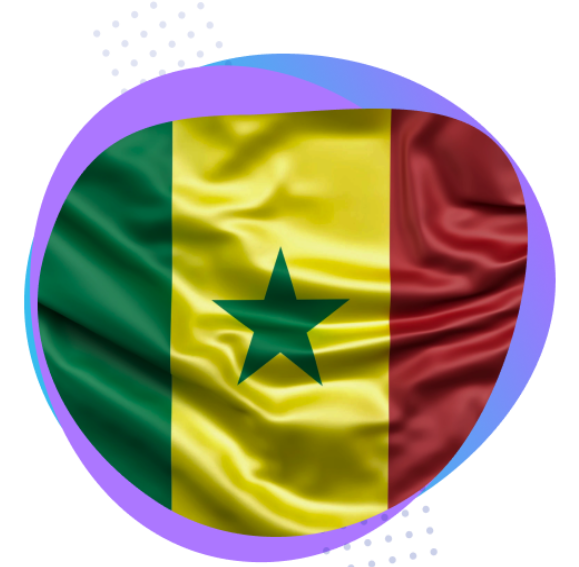 Groupe Logiciels et Services - drapeau Sénégal