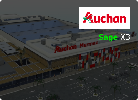 Groupe Logiciels et Services - success case: Groupe AUCHAN logiciel SAGE X3